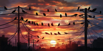 Por que os Pássaros Não Sofrem Choques Elétricos em Fios?