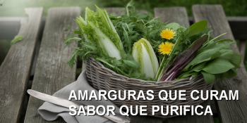A força oculta das folhas que regeneram o organismo