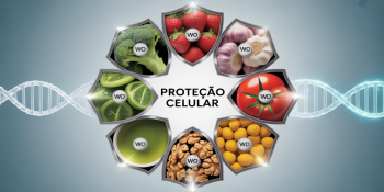 Prevenção do Câncer: As Estratégias Alimentares Recomendadas pelas Organizações Mundiais de Saúde